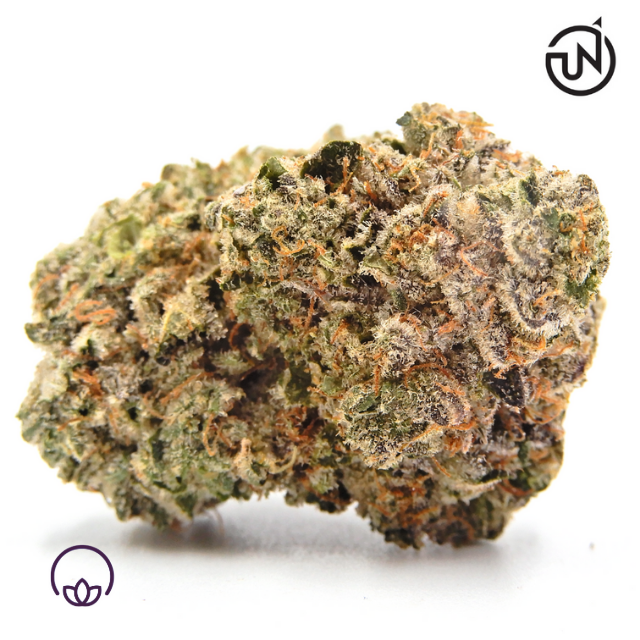 HINDU KUSH 3.5G