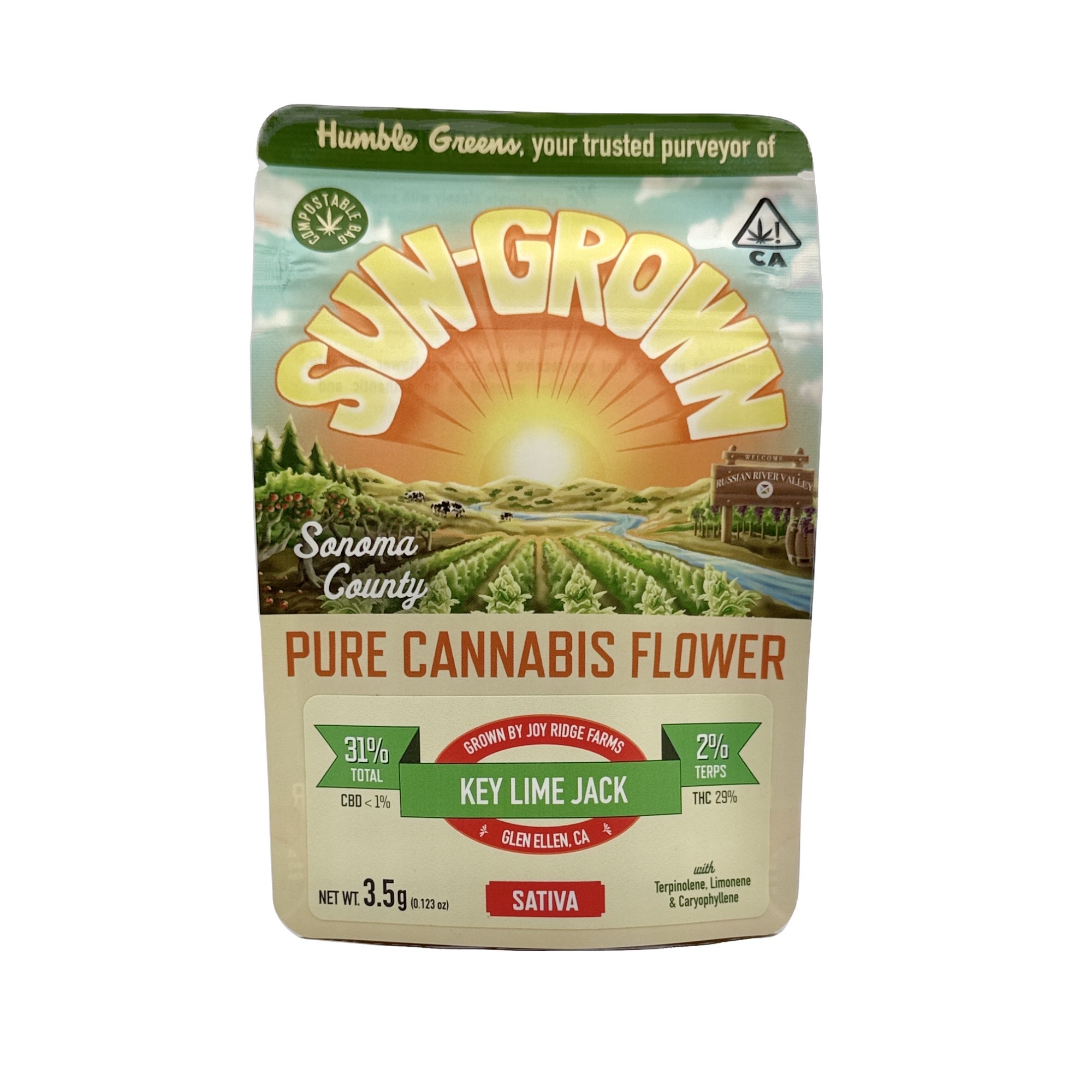 greens Amazon.com: GreenWorks 5210902 15