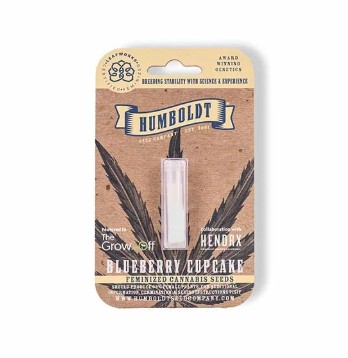 BLUEBERRY CUPCAKE FEMINIZED SEEDS 3 PACK