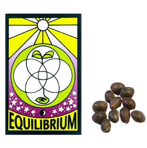 BLUE DREAM BX REGULAR SEEDS 12 PACK