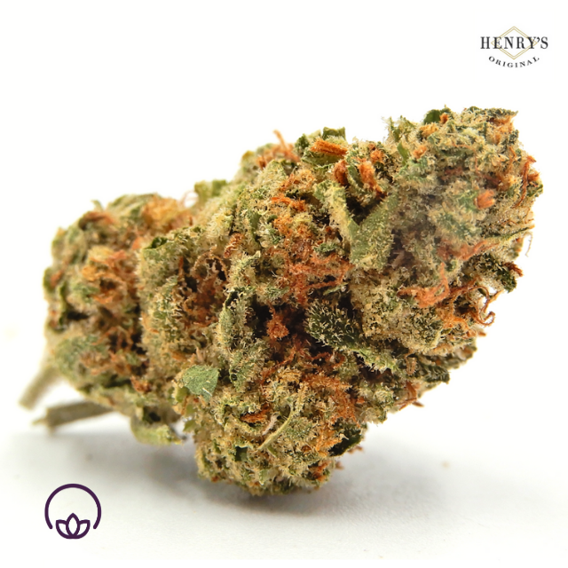 ICE CREAM CAKE 3.5G