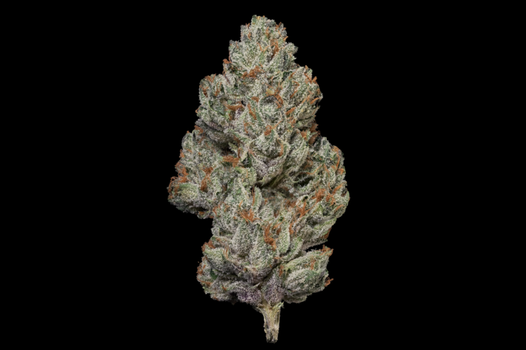 GELATO GAS 1/8 3.5G
