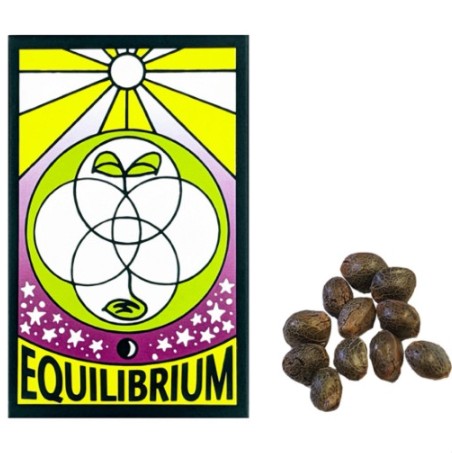 SOUR ORANGE F2 REGULAR SEEDS 12 PACK