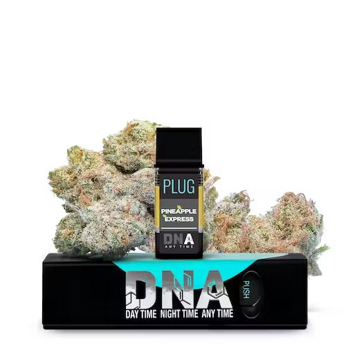 PINEAPPLE EXPRESS DNA POD 1G