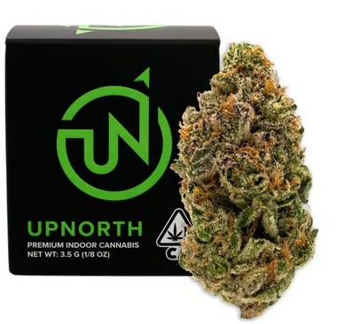 NF1 - EIGHTH