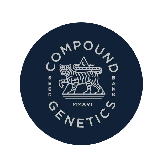 COMPOUND GENETICS - COMPOUND Z - 13 FEMINIZED SEEDS