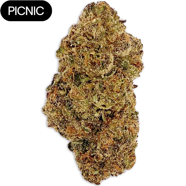 WHITE RUNTZ (3.5G) - 3.5g in Nevada City