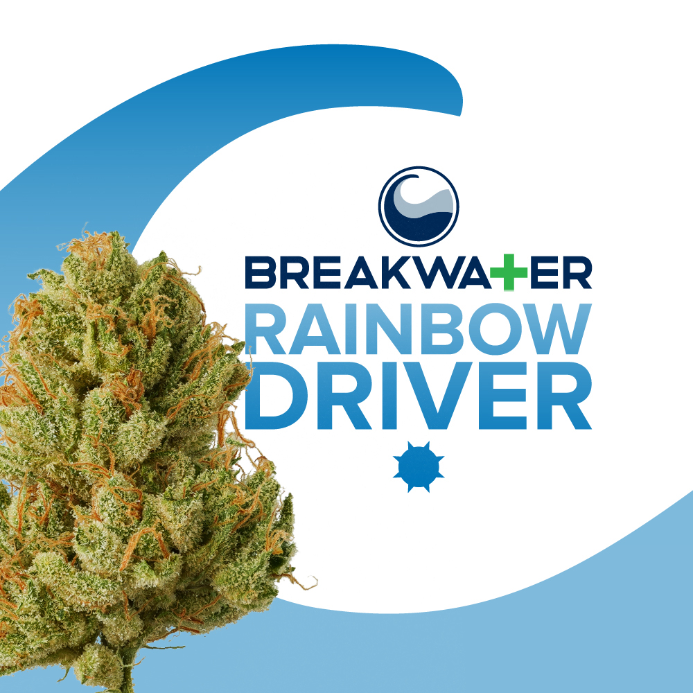 RAINBOW DRIVER | 3.5G