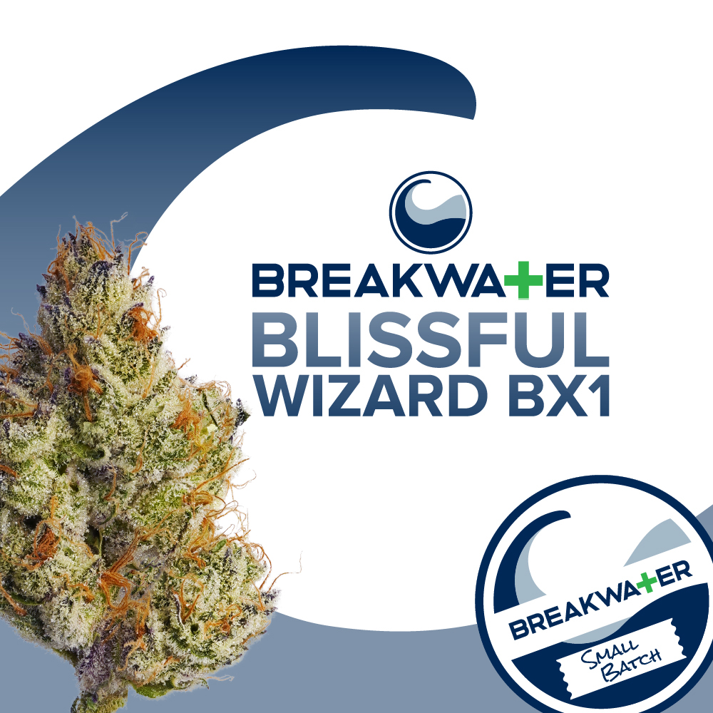 BLISSFUL WIZARD BX1 | 3.5G