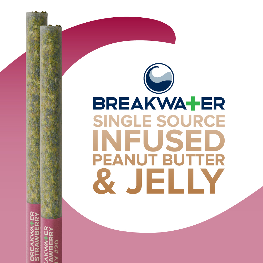 PEANUT BUTTER AND JELLY | INFUSED | 2 PACK | 1G