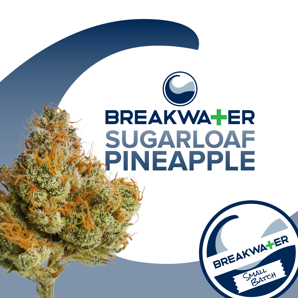 SUGARLOAF PINEAPPLE | 3.5G
