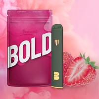 STRAWBERRY | DISPOSABLE | 1G