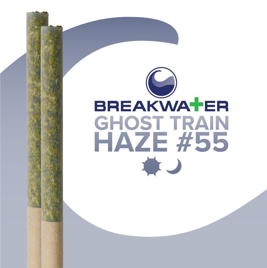 GHOST TRAIN HAZE #55 | 2 PACK | 1G