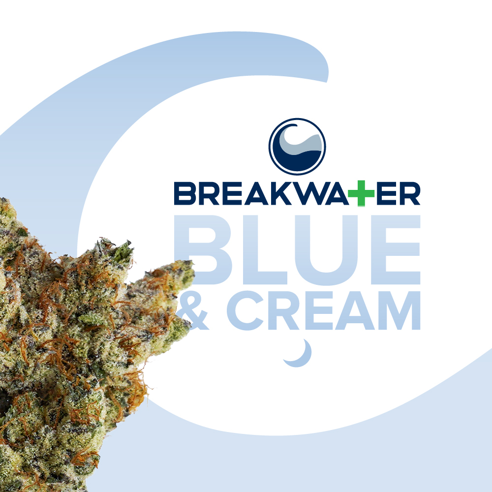 BLUE & CREAM | 7G