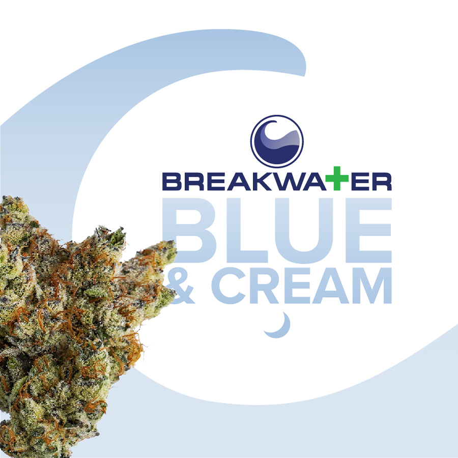 BLUE & CREAM | 3.5G