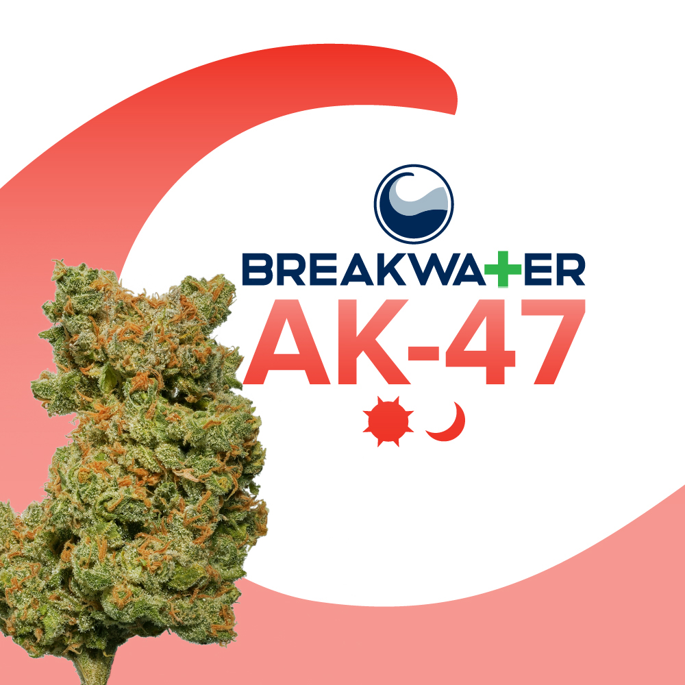 AK-47 | 3.5G