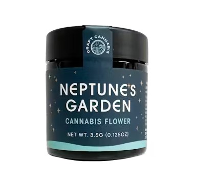 NIGHTMARE RUNTZ | 3.5G