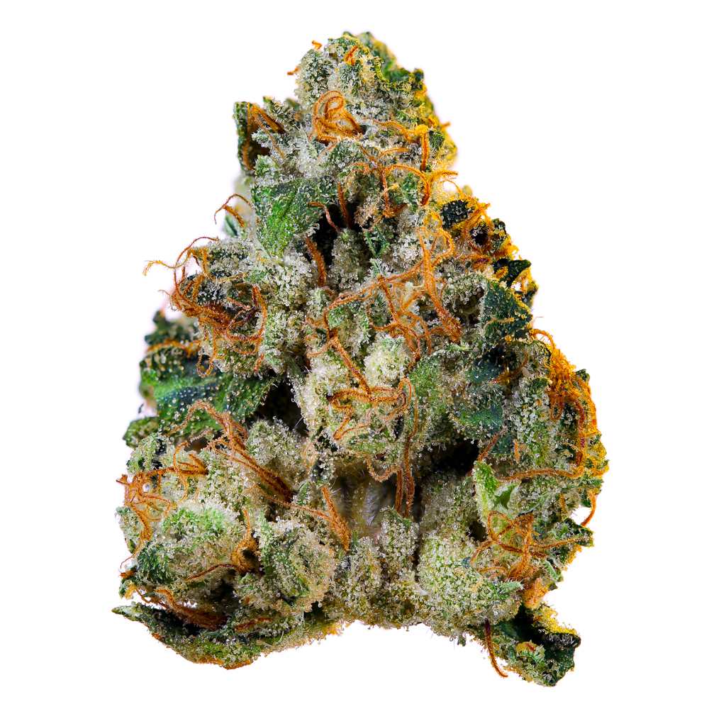 UpNorth — Durban Poison