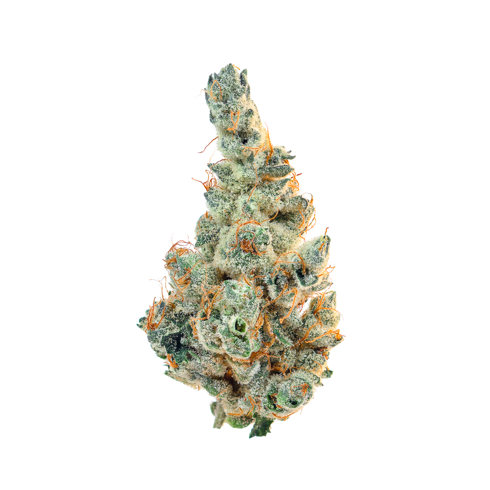 UpNorth — Maui Wowie