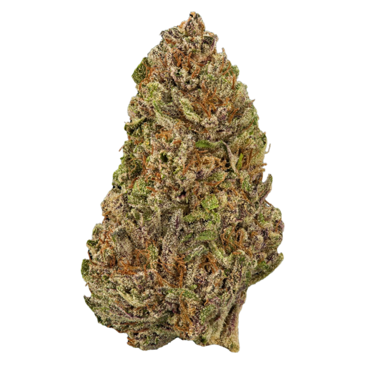 Roots — Skunk 1