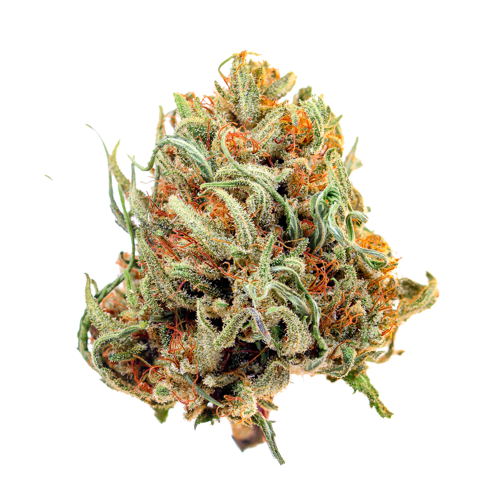 Farm Cut — Rose Queen