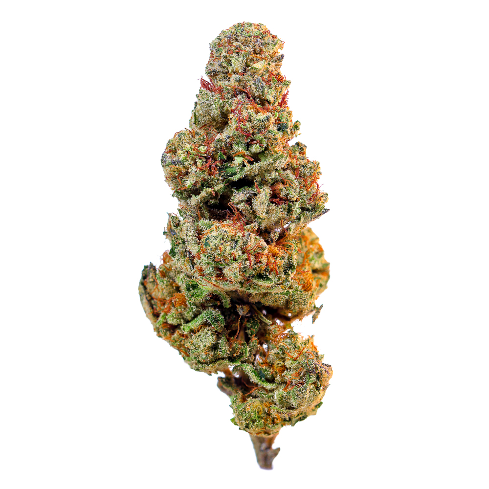 That Taffy — Glitter Bomb