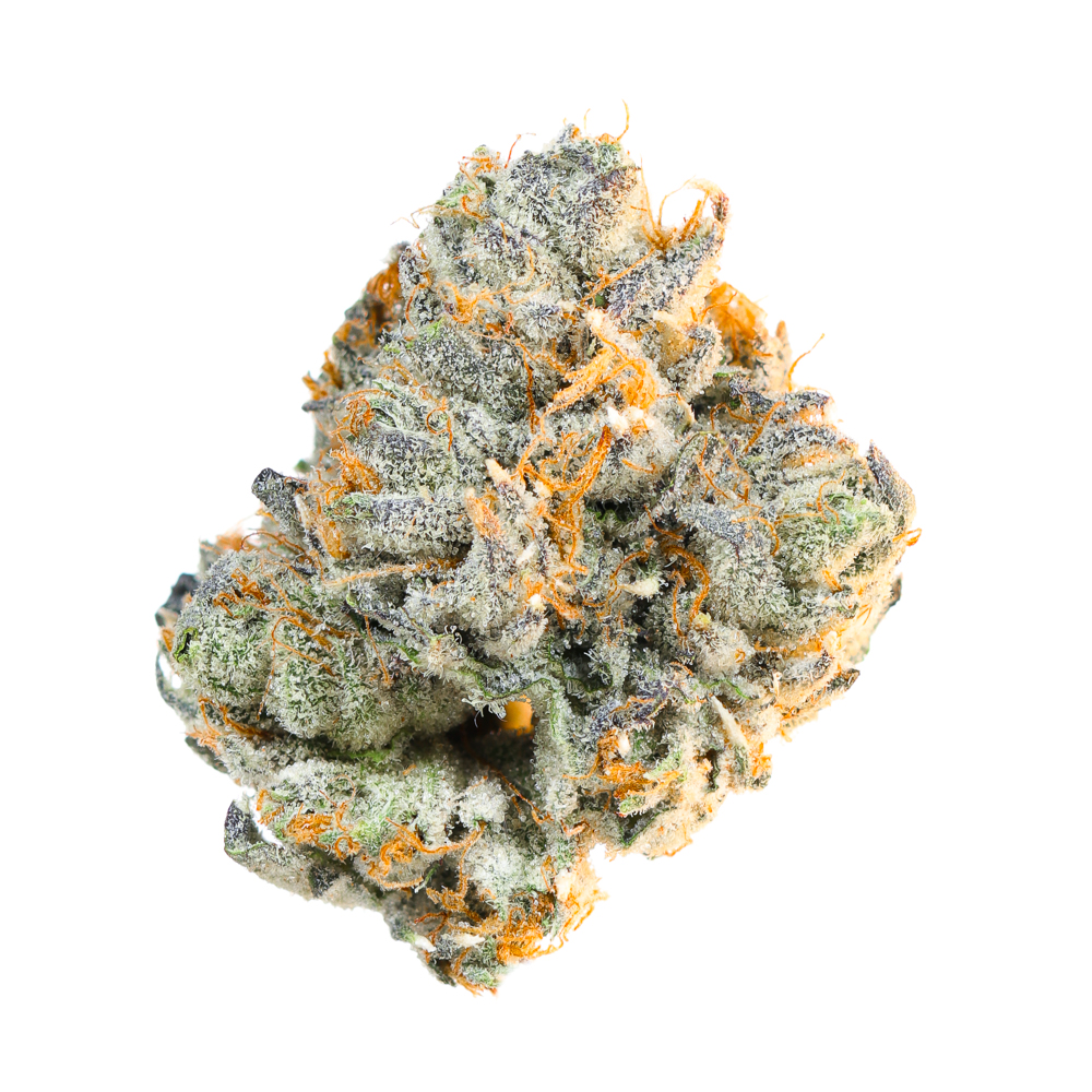 Alien Labs — Brain Wash