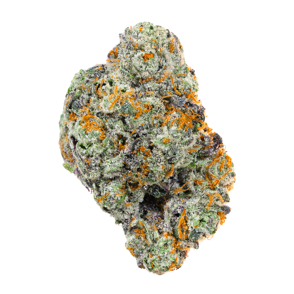 Smacked Studios — Sideshow