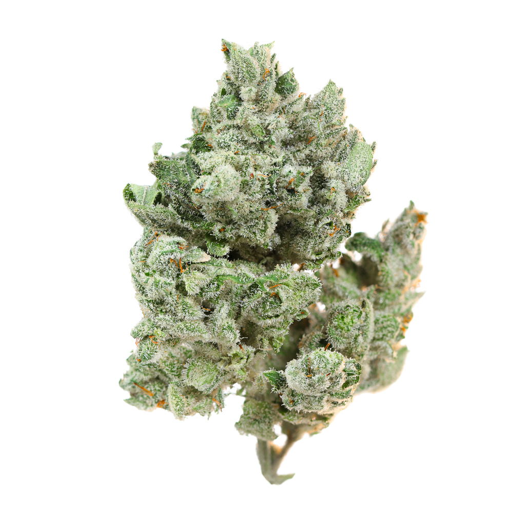 Legacy Farms — Original Glue