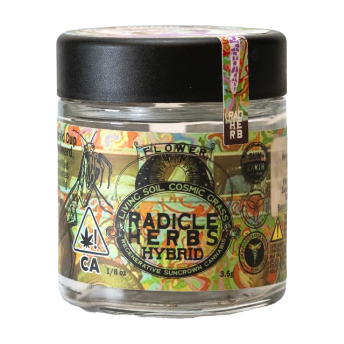 Radicle Herbs — Purple Chemdawg