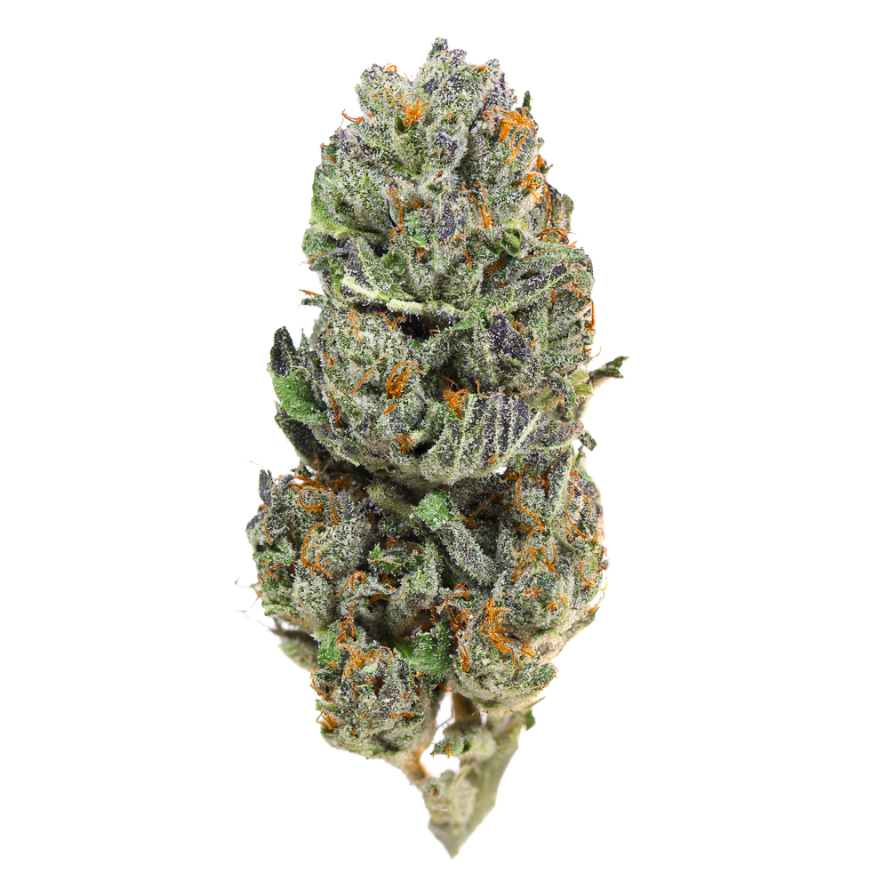 Radicle Herbs — RS11