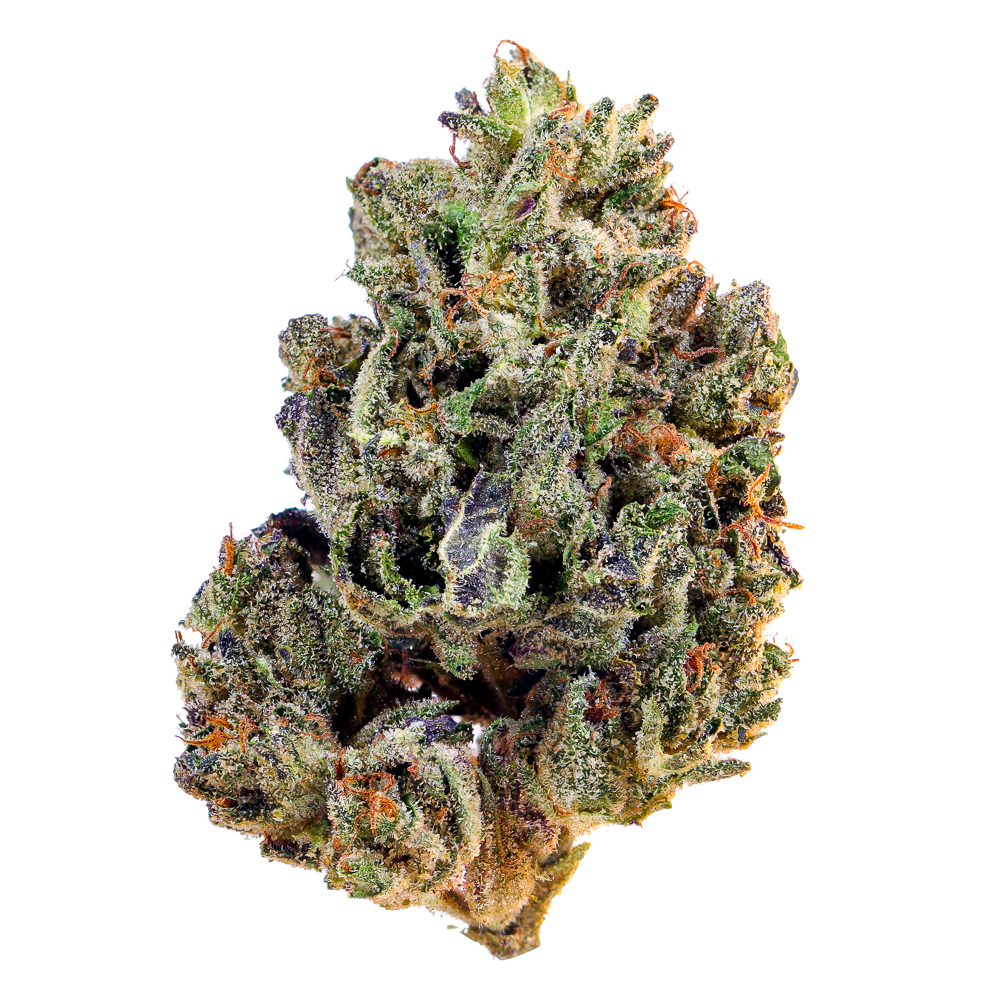 Radicle Herbs — Sherb Cream Pie