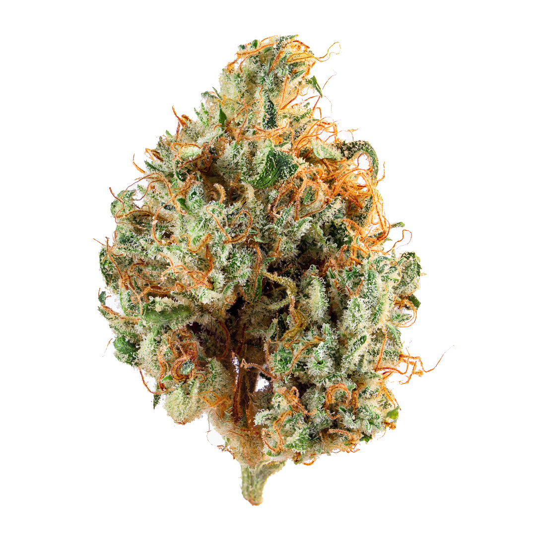 Cannabiotix — L'Orange
