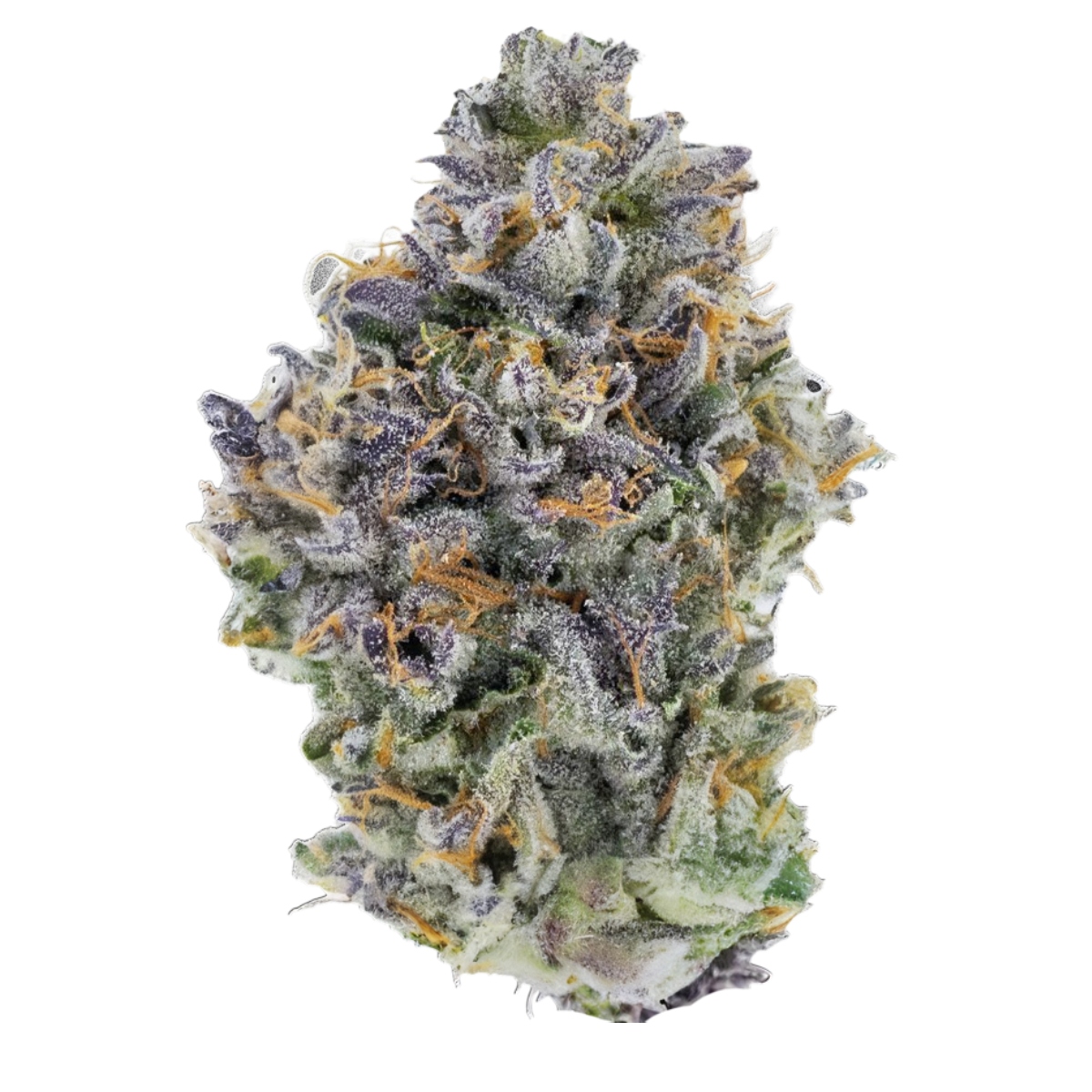 Fig Farms — Mad Dawg