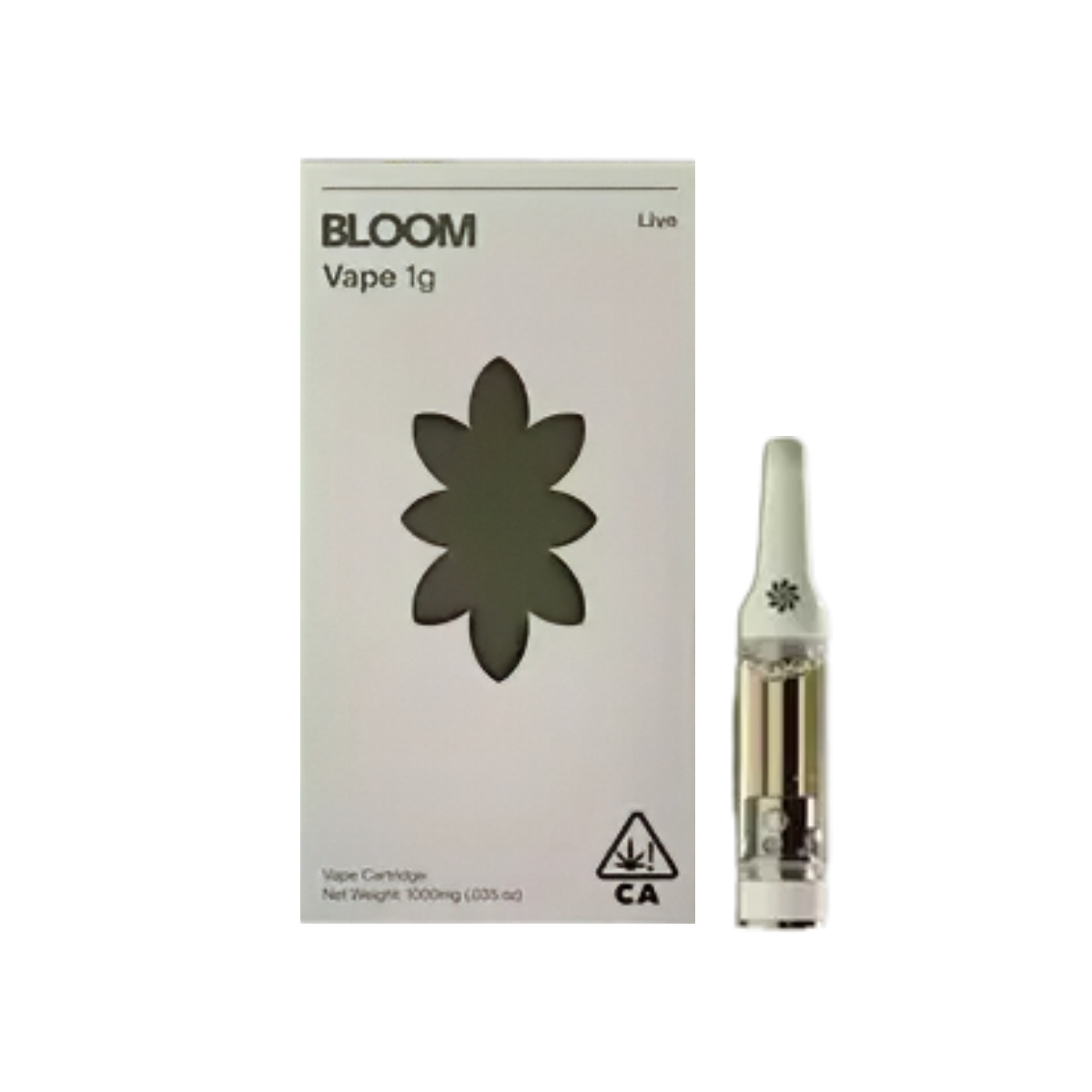 BLOOM BRAND — Forbidden Fruit