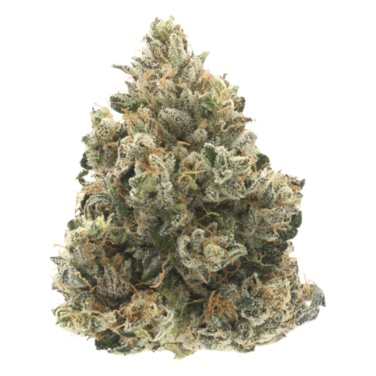 710 Labs — Donny Burger