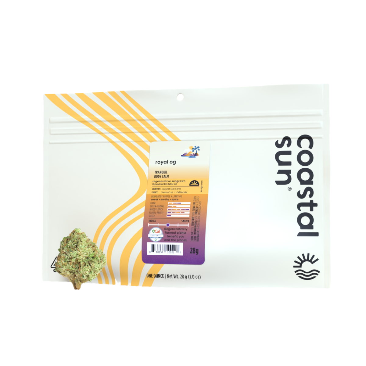 Coastal Sun Farm — Royal