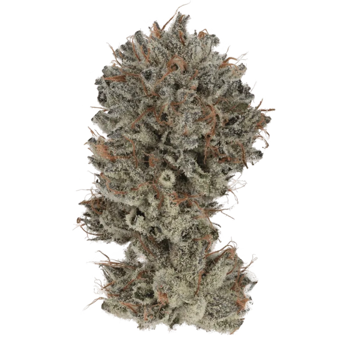 Cannabiotix — 98 Octane