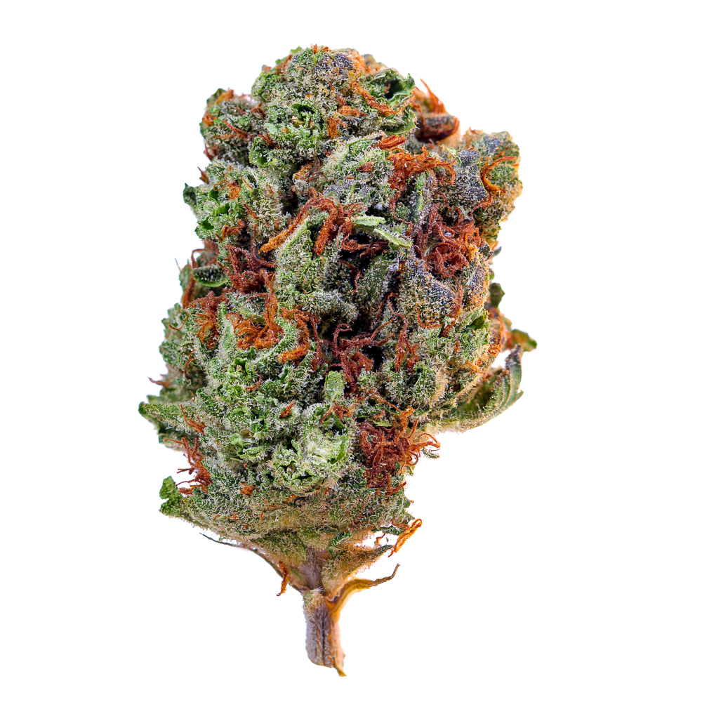 Radicle Herbs — Blue Halo