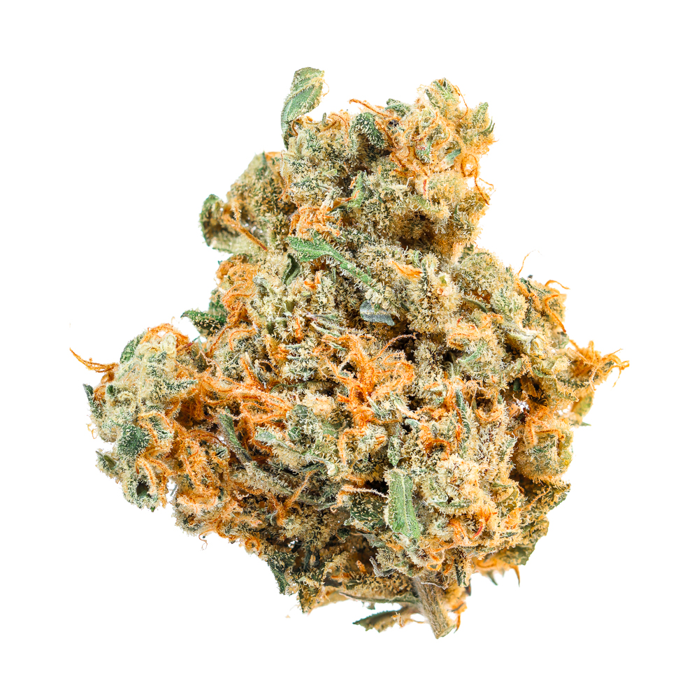 UpNorth — Red Congolese