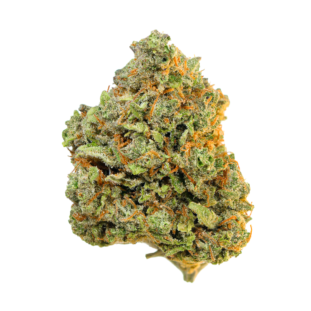 Roots — Blueberry