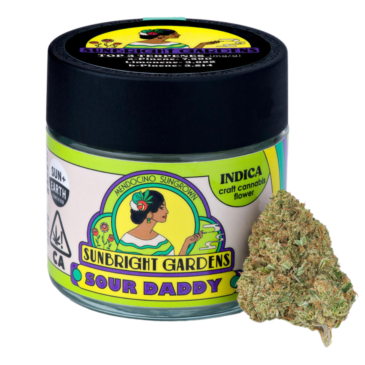 SUNBRIGHT GARDENS: Sour Daddy