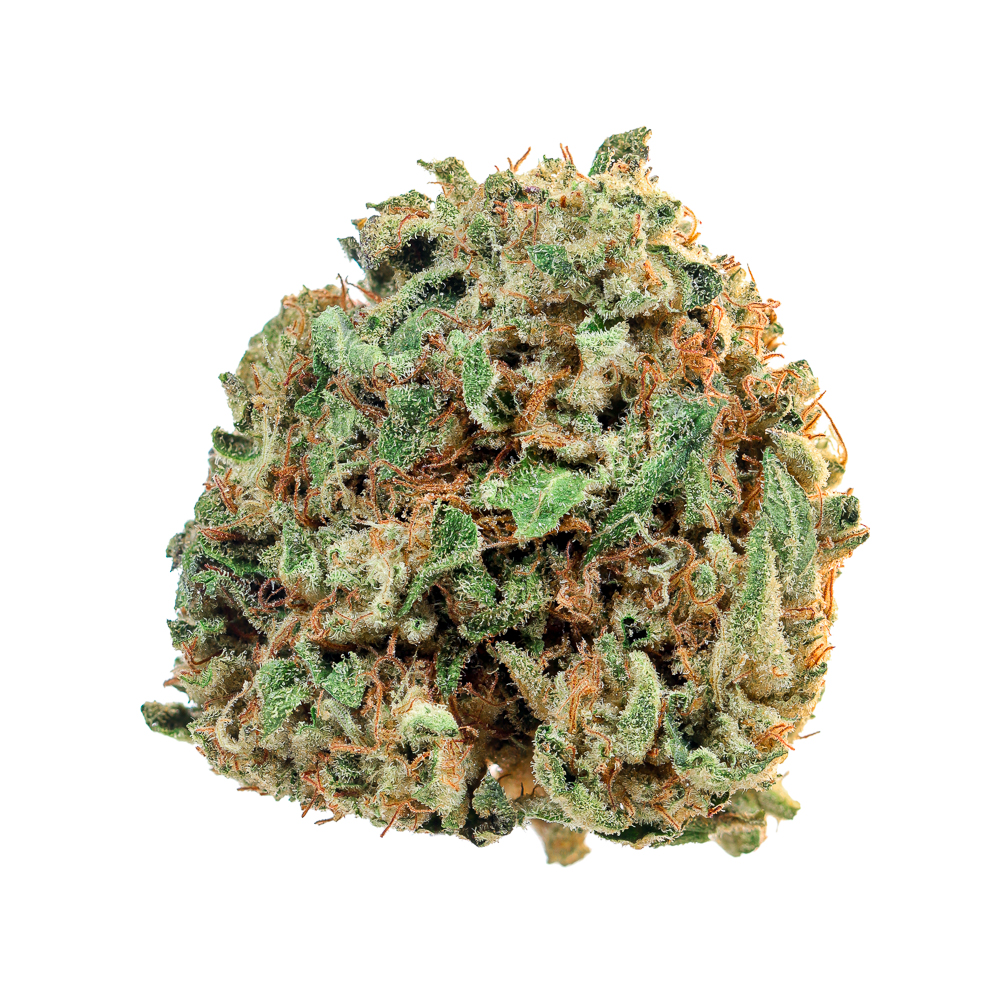 Pacific Cultivation — King Louis