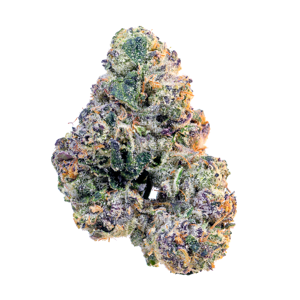 Maven Genetics — Prizm