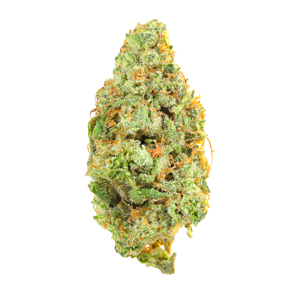 Roots — Mule Fuel
