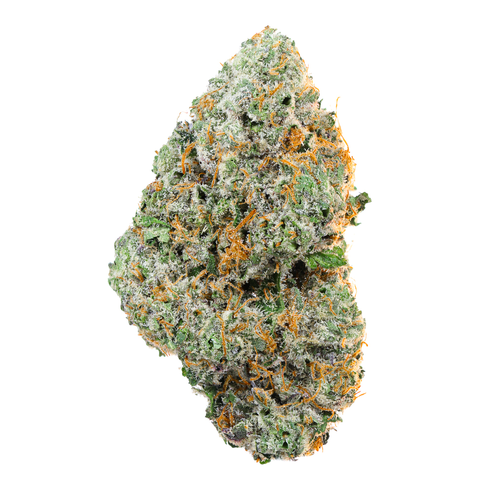 Smacked Studios — Zerbert