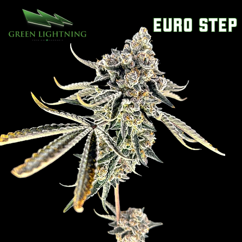 Euro Step Smalls 7g