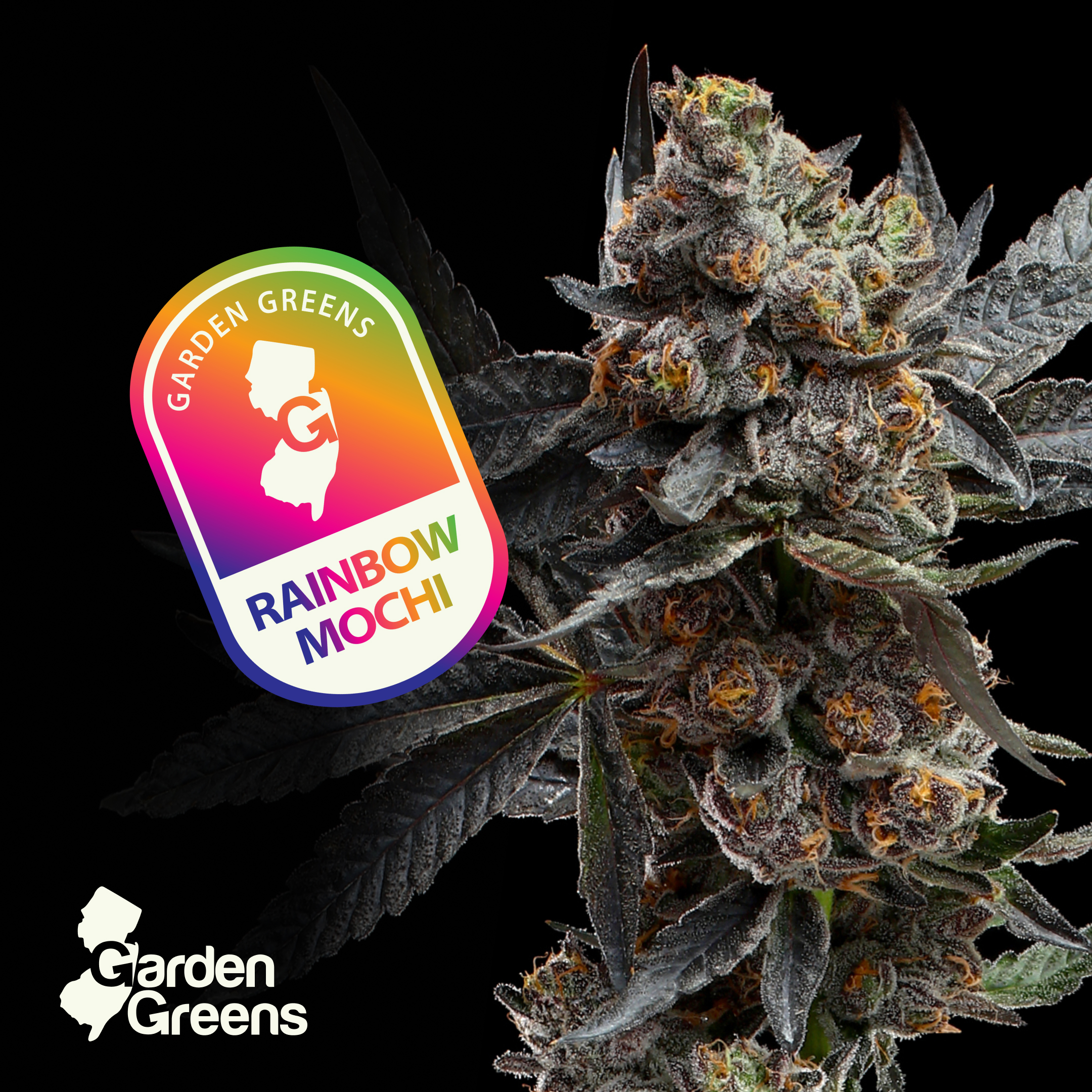 Rainbow Mochi 3.5g