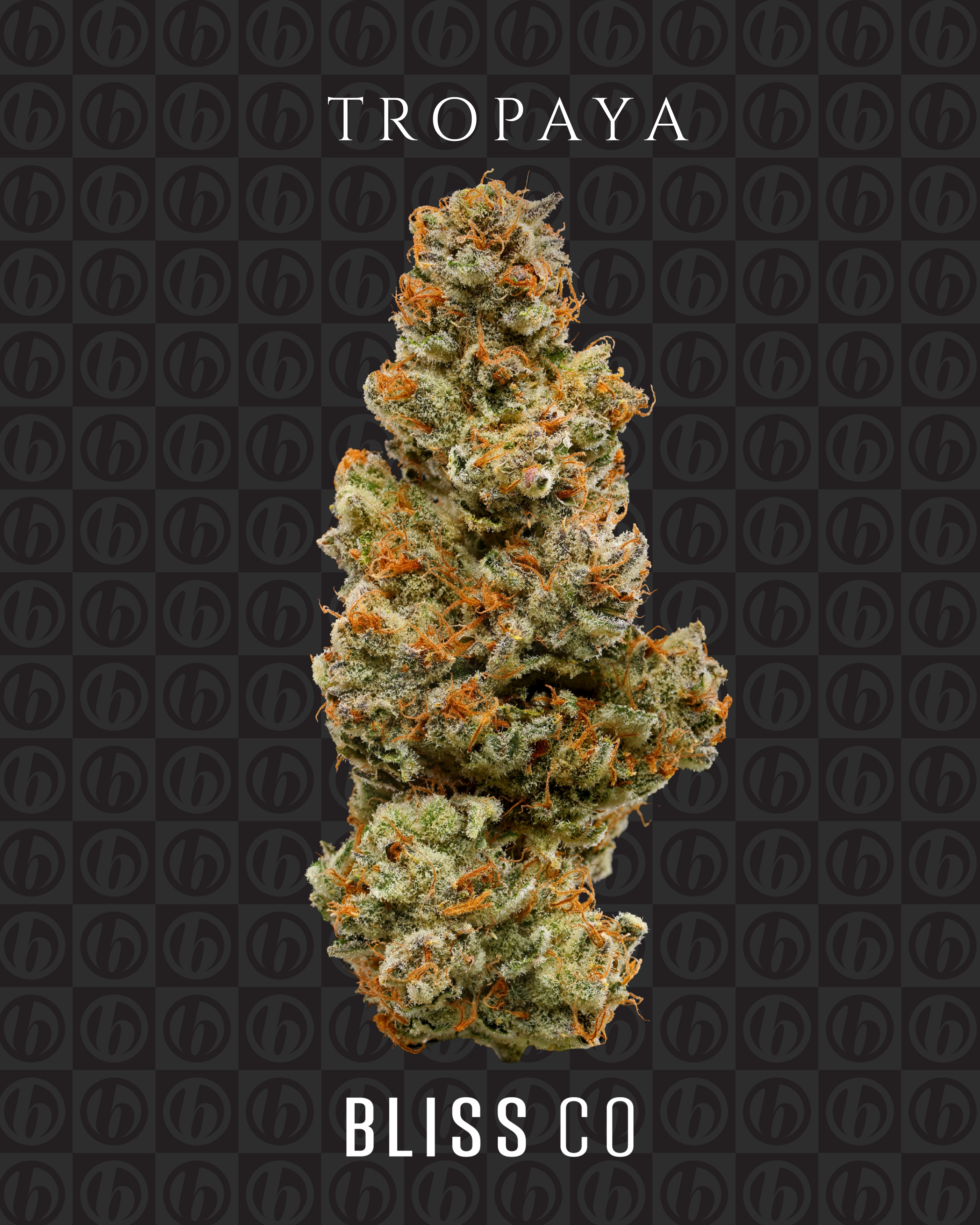 Tropaya 3.5g