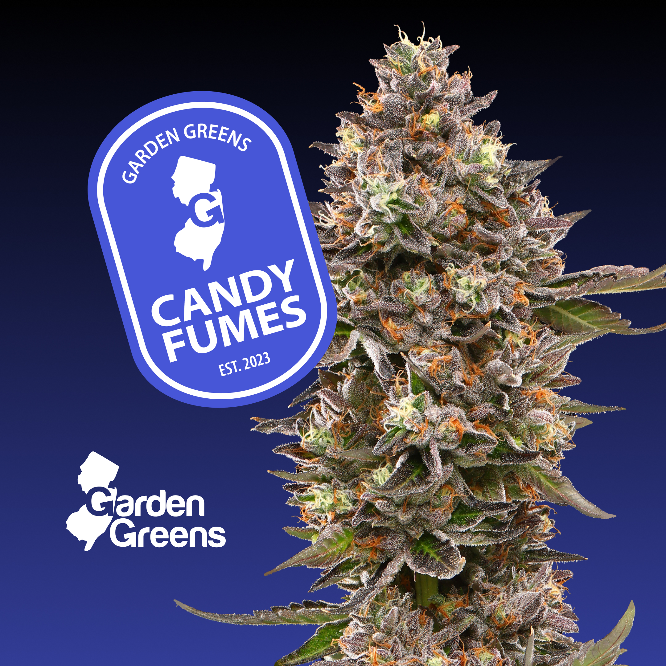 Candy Fumes 7g